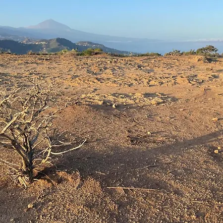 D-espacios Zotea 特格斯特