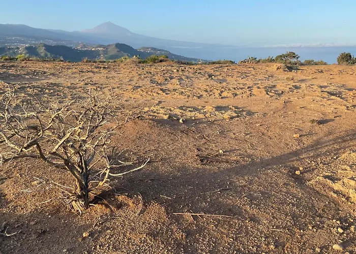 D-espacios Zotea Tegueste